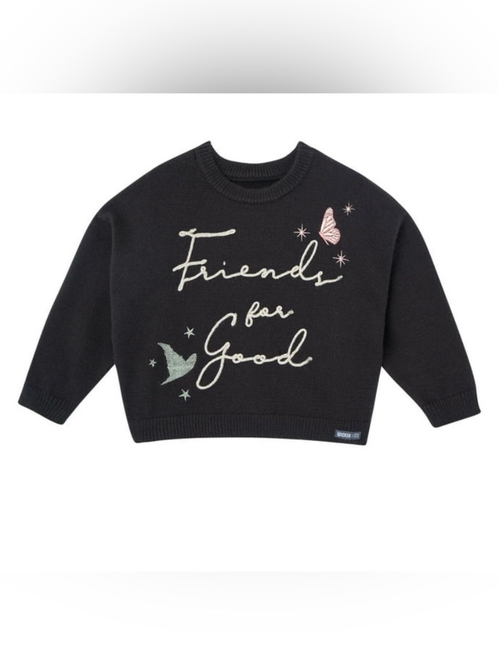 Modern Moments X Wicked Affirmation Sweater, Friends For Good